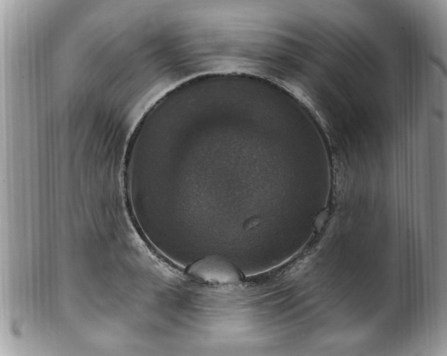 X0000101970943200807251208