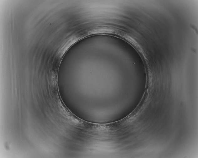 X0000101970945200807251208