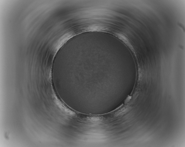 X0000101970946200807251208
