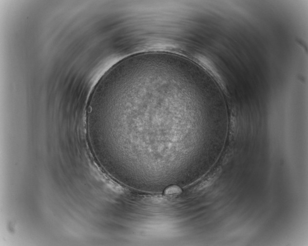 X0000101970948200807251208