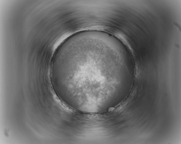 X0000101970952200807251208