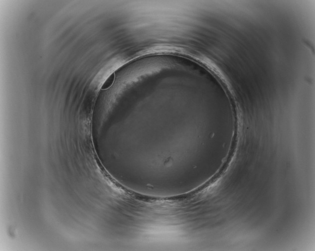 X0000101970953200807251208