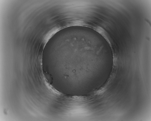 X0000101970954200807251208