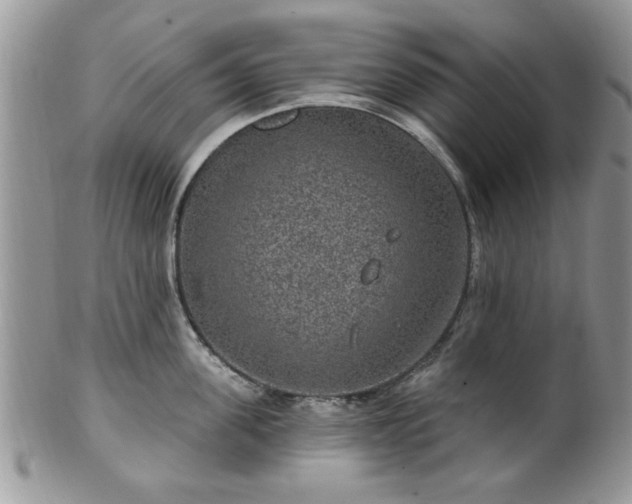 X0000101970955200807251208