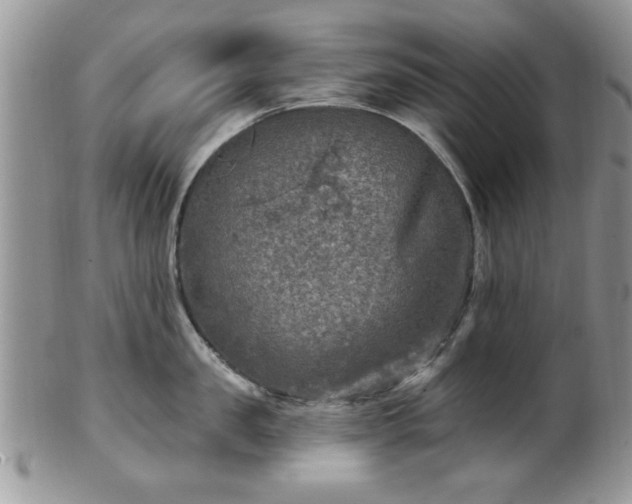 X0000101970957200807251208