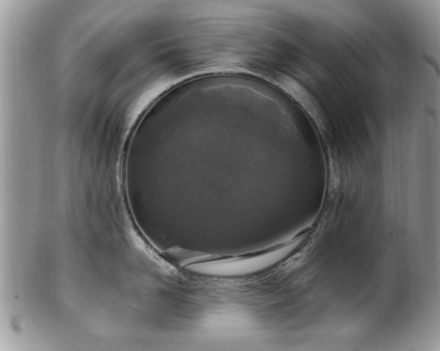 X0000101970958200807251208