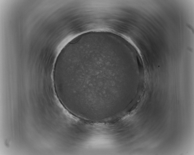X0000101970959200807251208