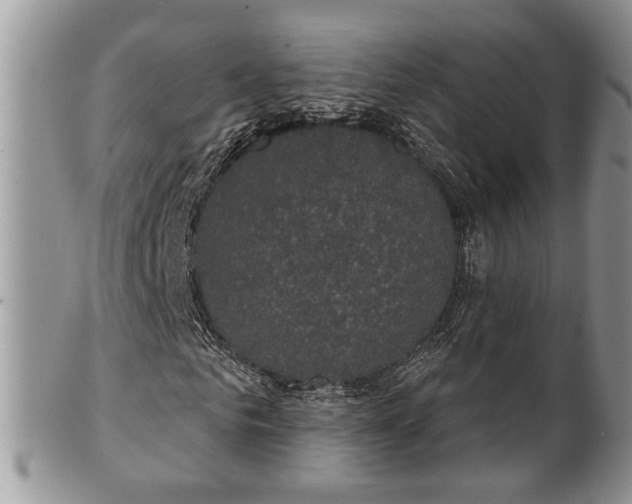X0000101970961200807251208