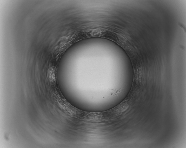 X0000101970962200807251208