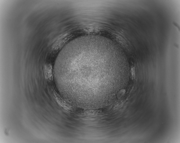 X0000101970963200807251208