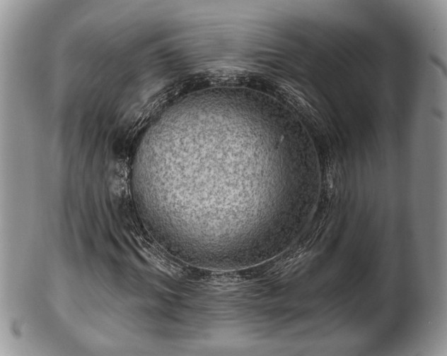 X0000101970964200807251207