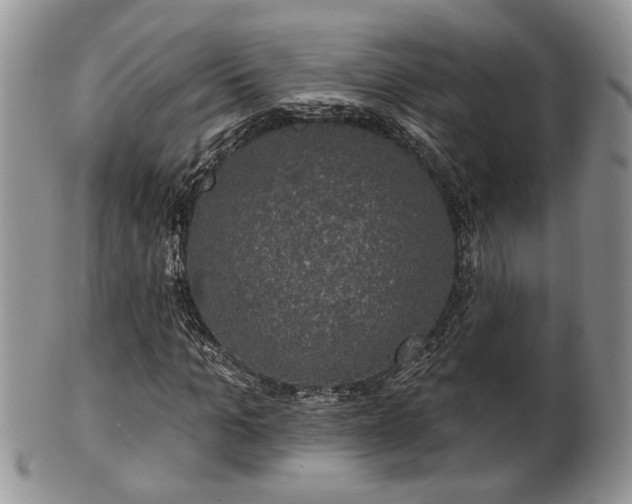 X0000101970965200807251207