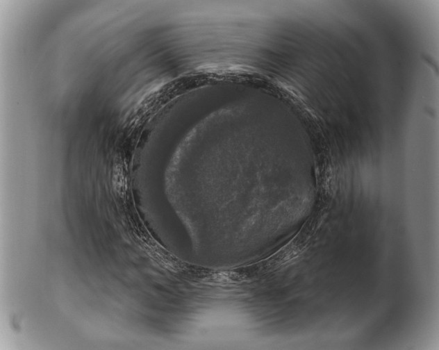X0000101970966200807251207