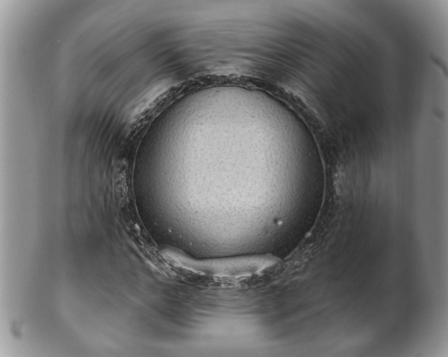 X0000101970968200807251207