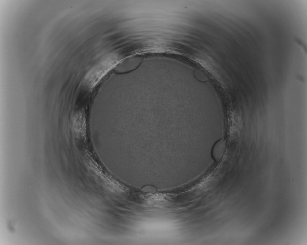 X0000101970969200807251207