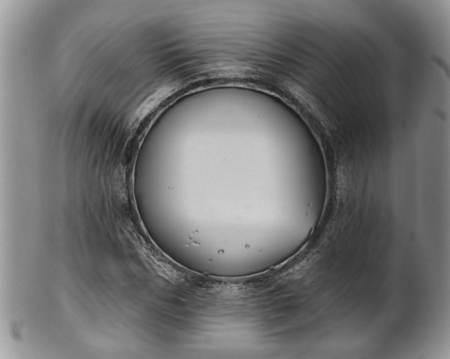 X0000101970970200807251207
