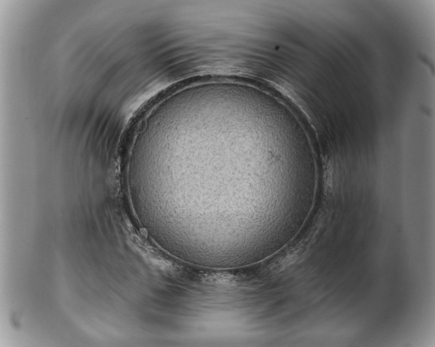X0000101970971200807251207