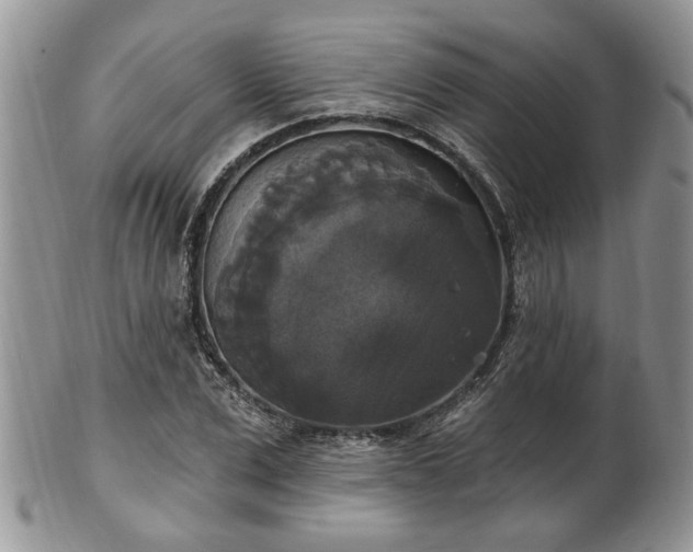 X0000101970975200807251207