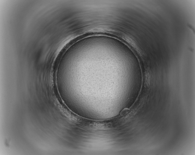 X0000101970976200807251207