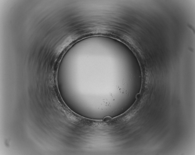 X0000101970978200807251207
