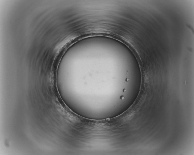 X0000101970979200807251207