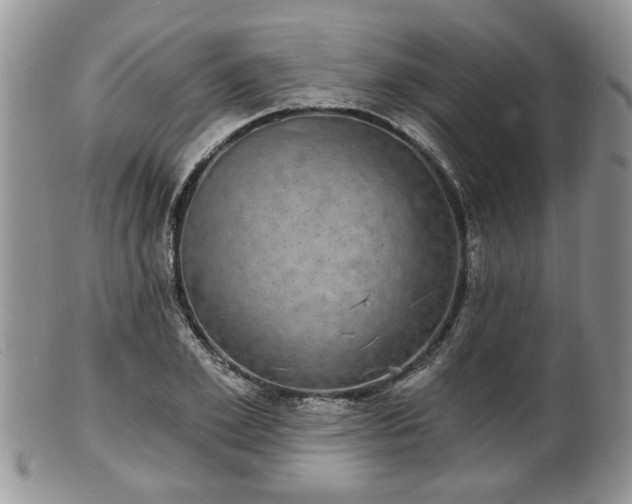 X0000101970981200807251207