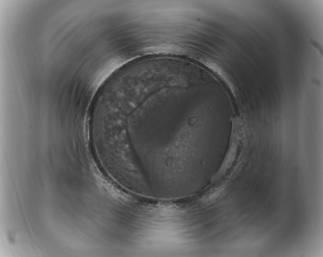 X0000101970983200807251207
