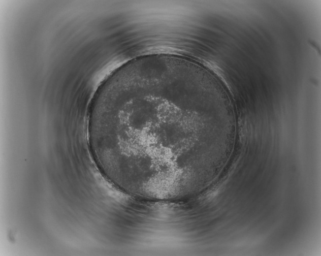 X0000101970987200807251207