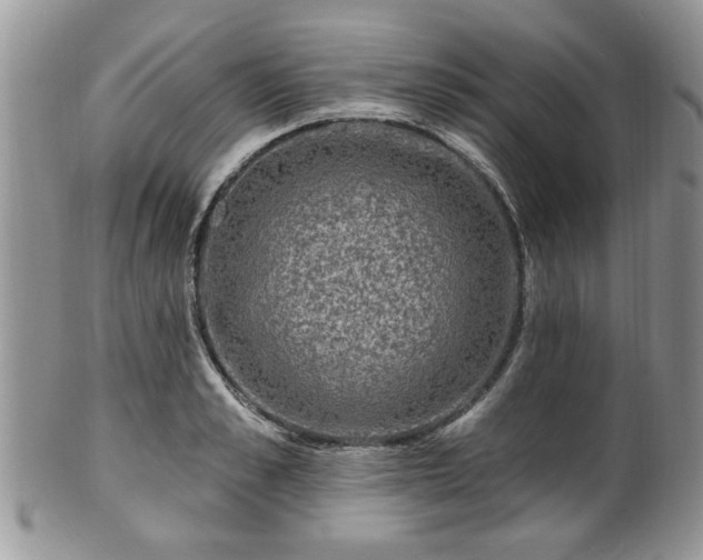 X0000101970989200807251207