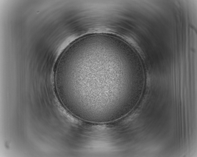 X0000101970990200807251207