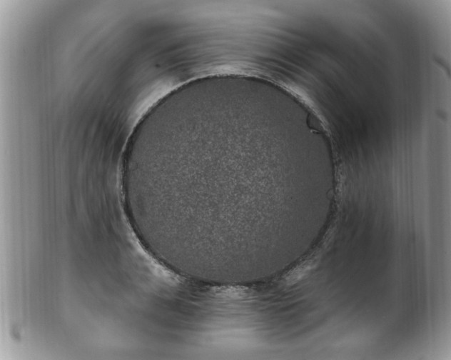 X0000101970991200807251207