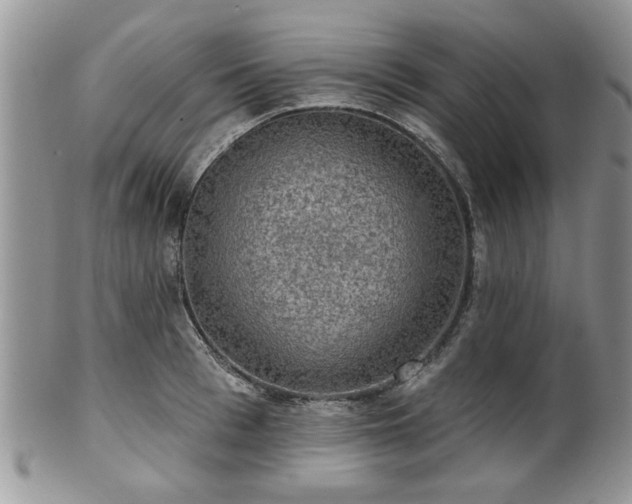 X0000101970993200807251207