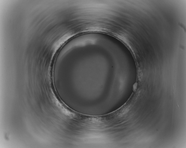 X0000101970995200807251207