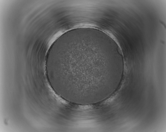 X0000101970997200807251207