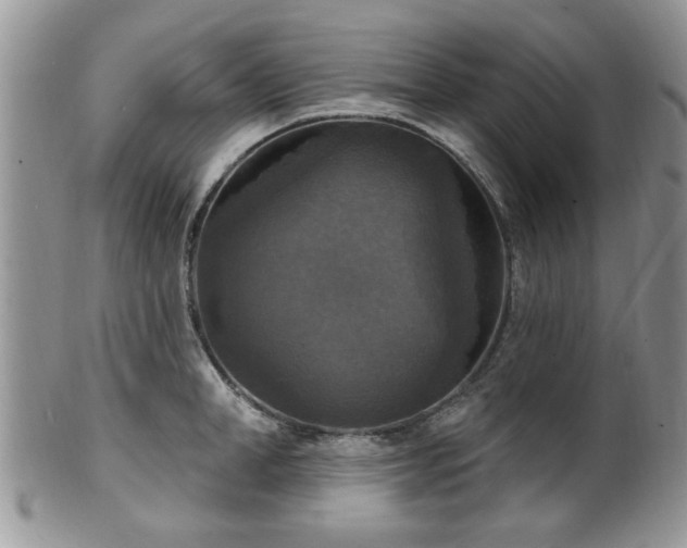 X0000101970998200807251207
