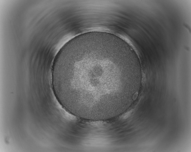 X0000101970999200807251207