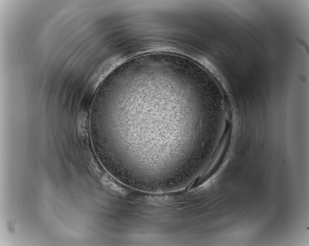 X0000101971001200807251207