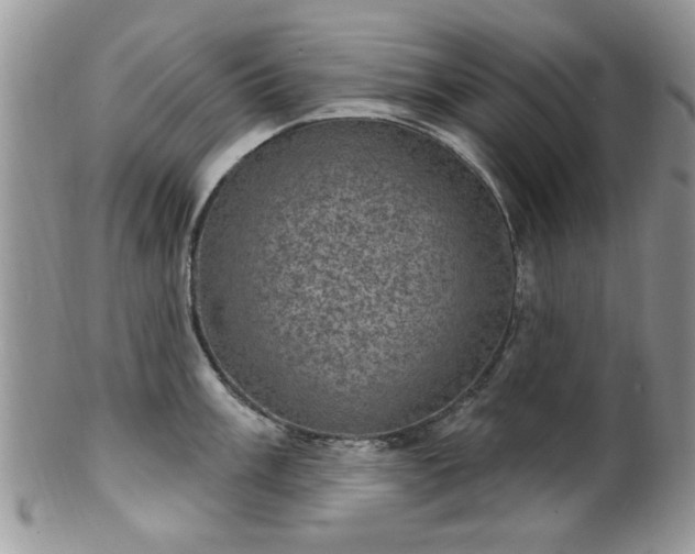 X0000101971003200807251207