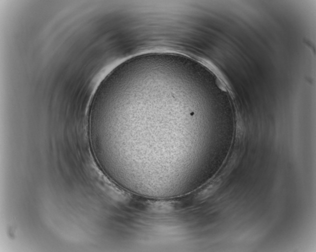 X0000101971004200807251207