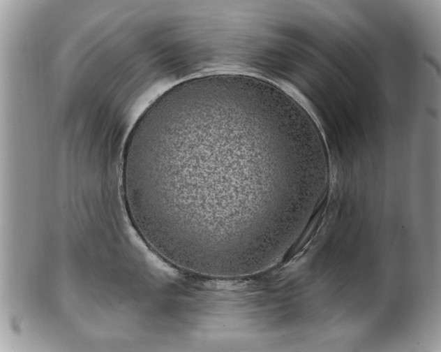 X0000101971005200807251207