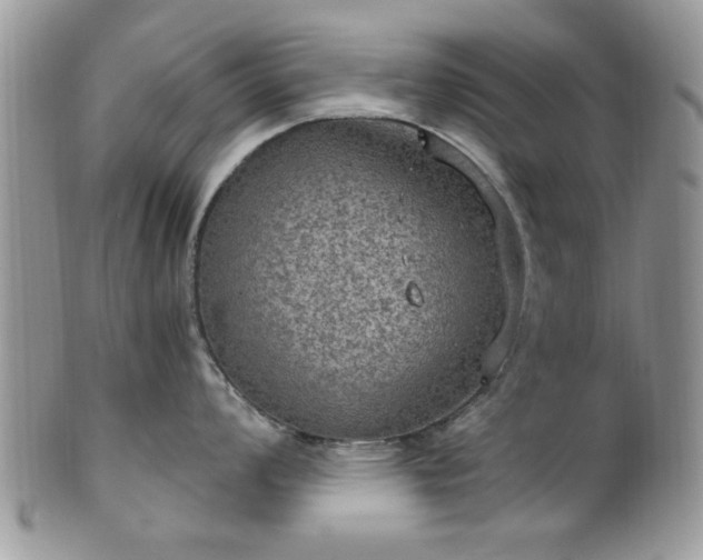 X0000101971008200807251207