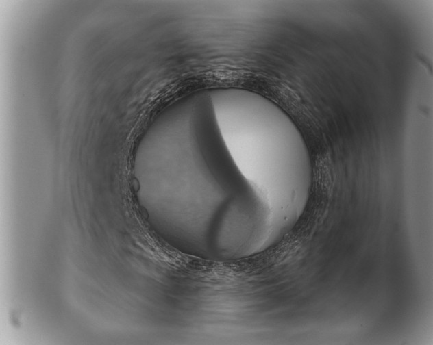 X0000101971009200807251206
