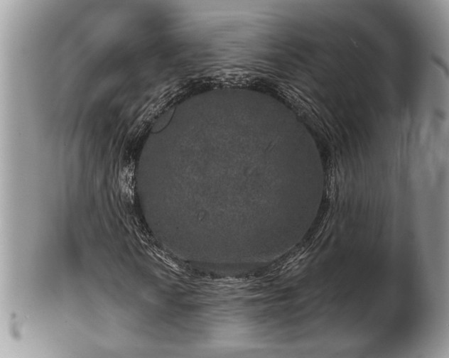 X0000101971010200807251206