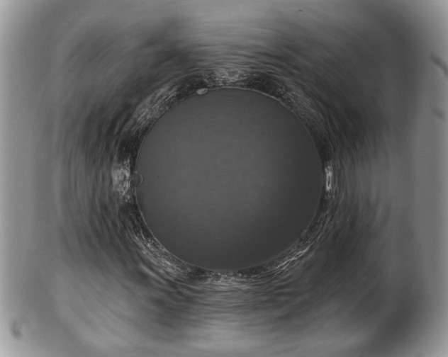 X0000101971011200807251206