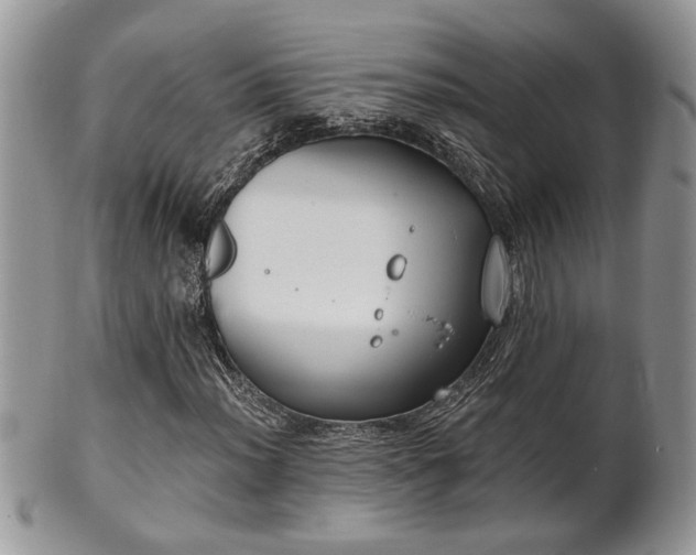 X0000101971012200807251206