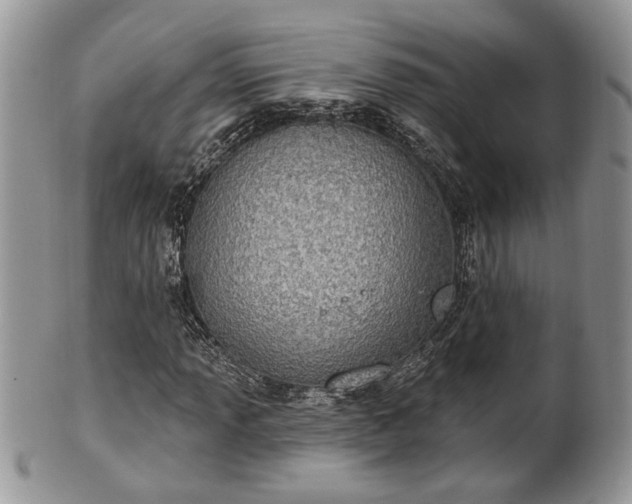 X0000101971013200807251206