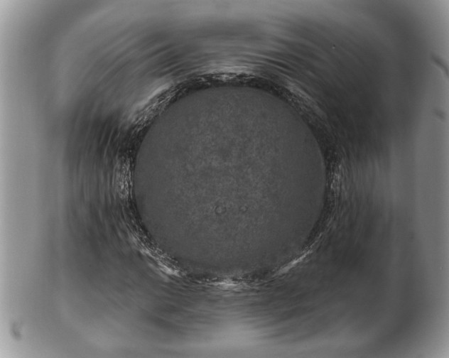 X0000101971014200807251206