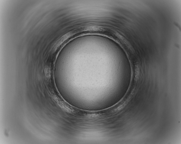 X0000101971017200807251206