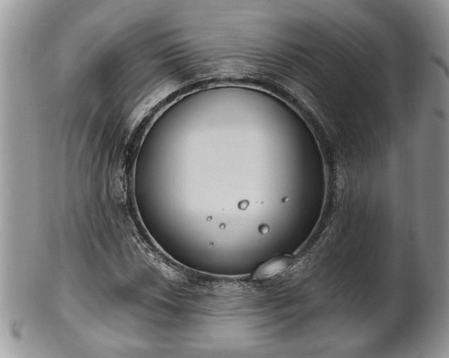 X0000101971018200807251206