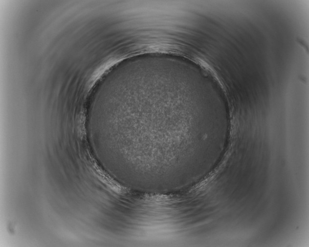 X0000101971019200807251206